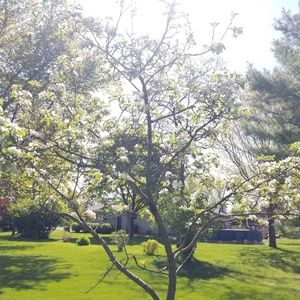 Meet your Posher, Abbey